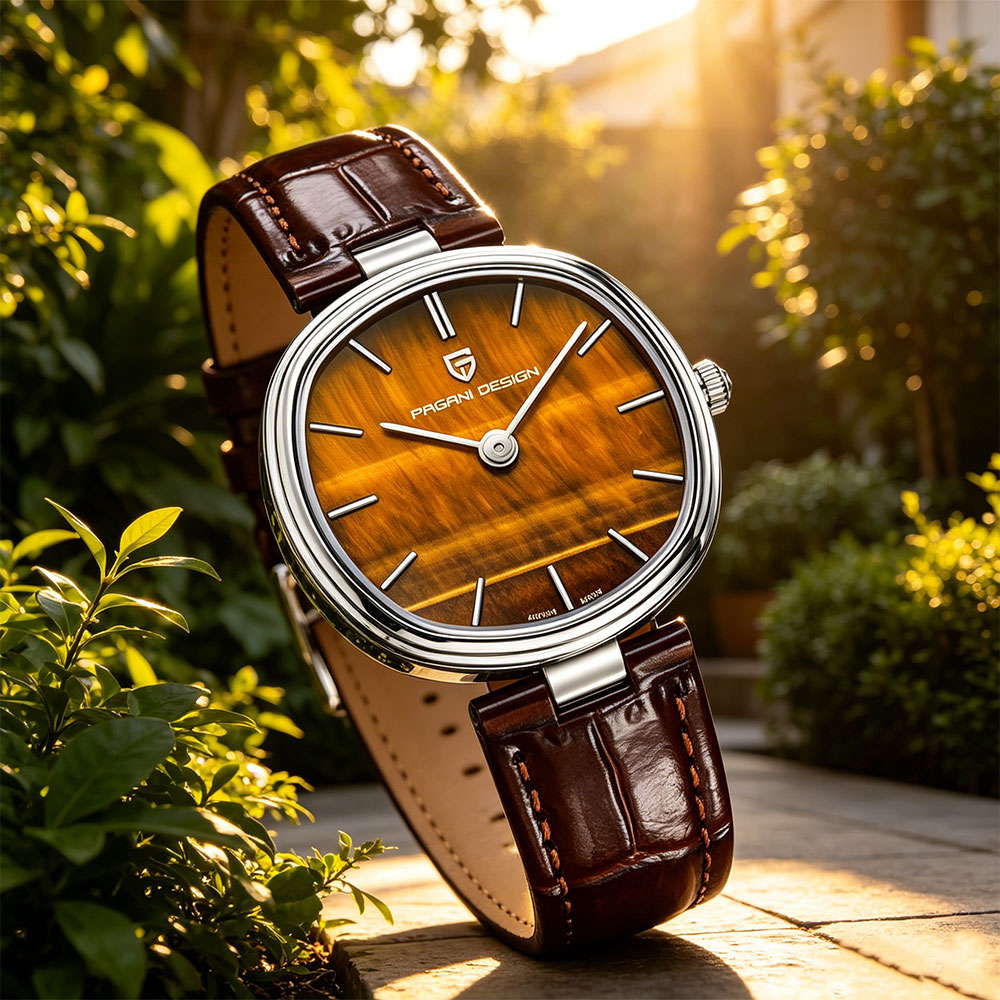PAGANI DESIGN 2026 Novo Relógi - Anti-Magnetic Watch avaliação e preço